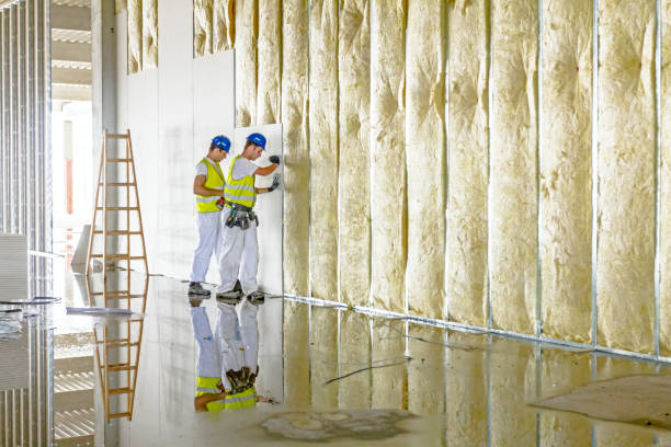Best Insulation Maintenance and Repair in Woodstock, VA